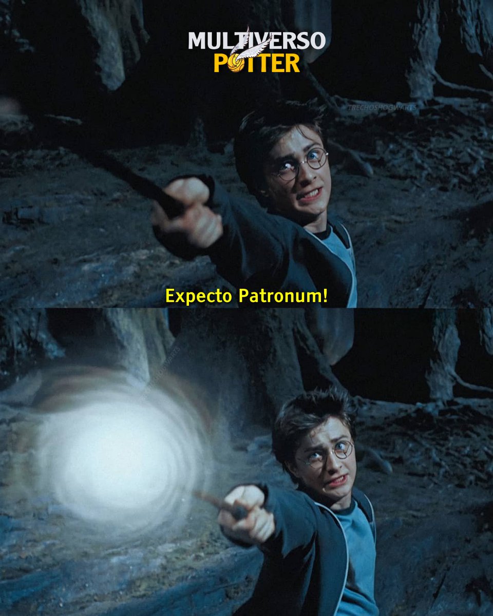 Multiverso Potter tweet media