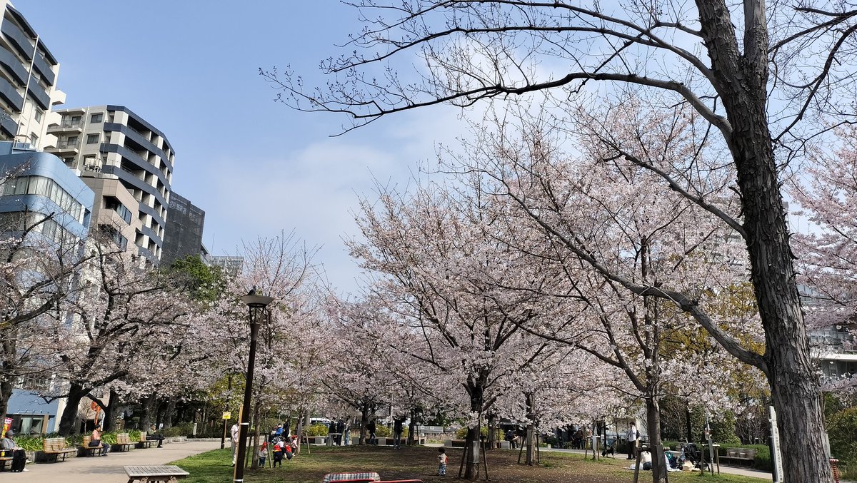 アルール@Utako tweet media