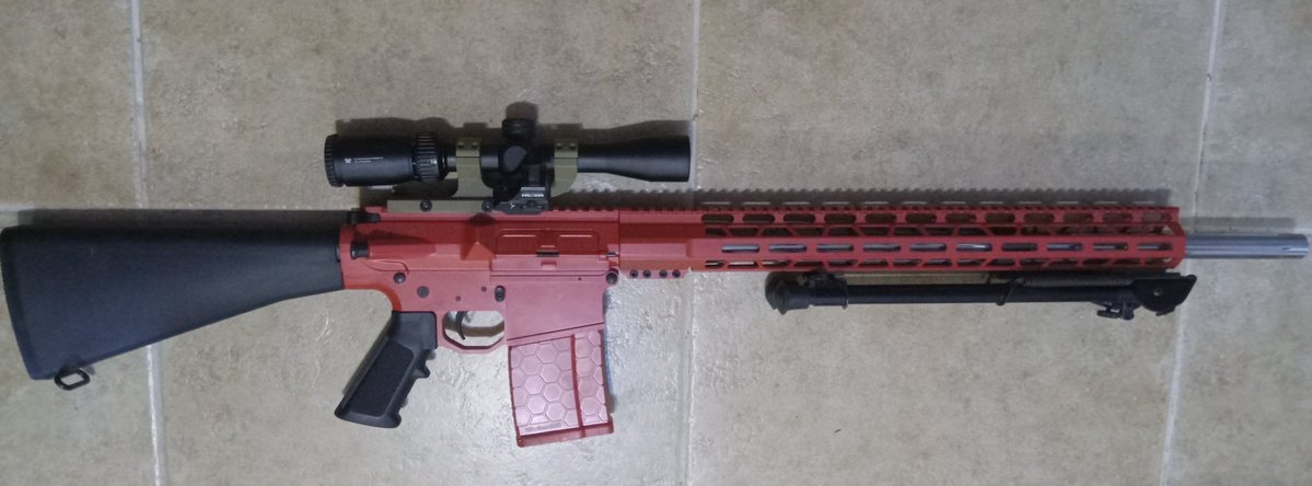 Cracker Cowboy Crocodile (Endangered) tweet media