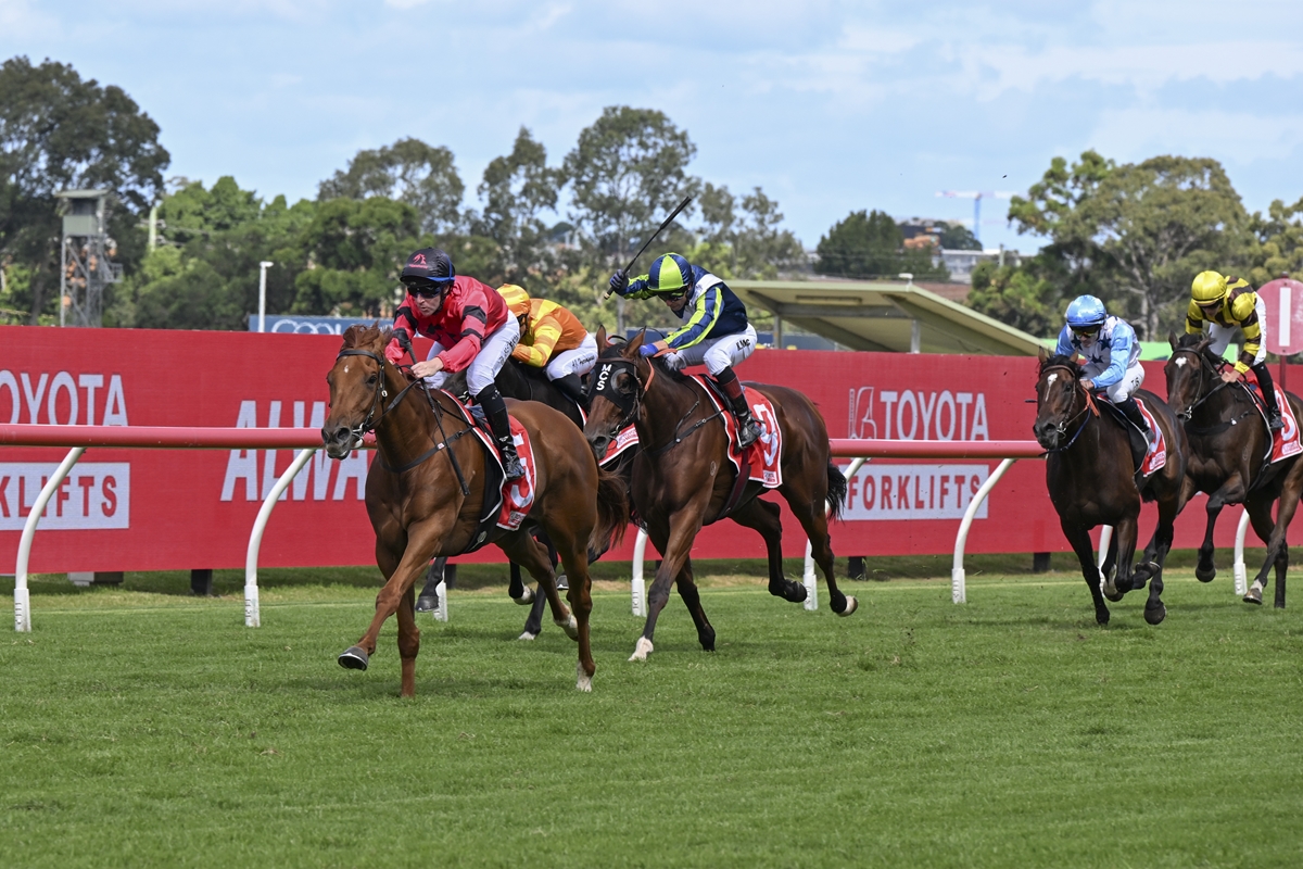 Darley in Australia tweet media