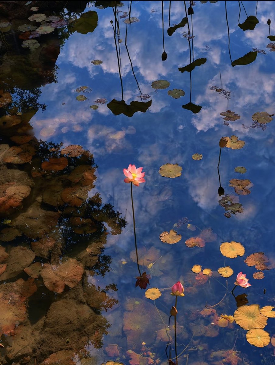 Visit Mount Tai tweet media