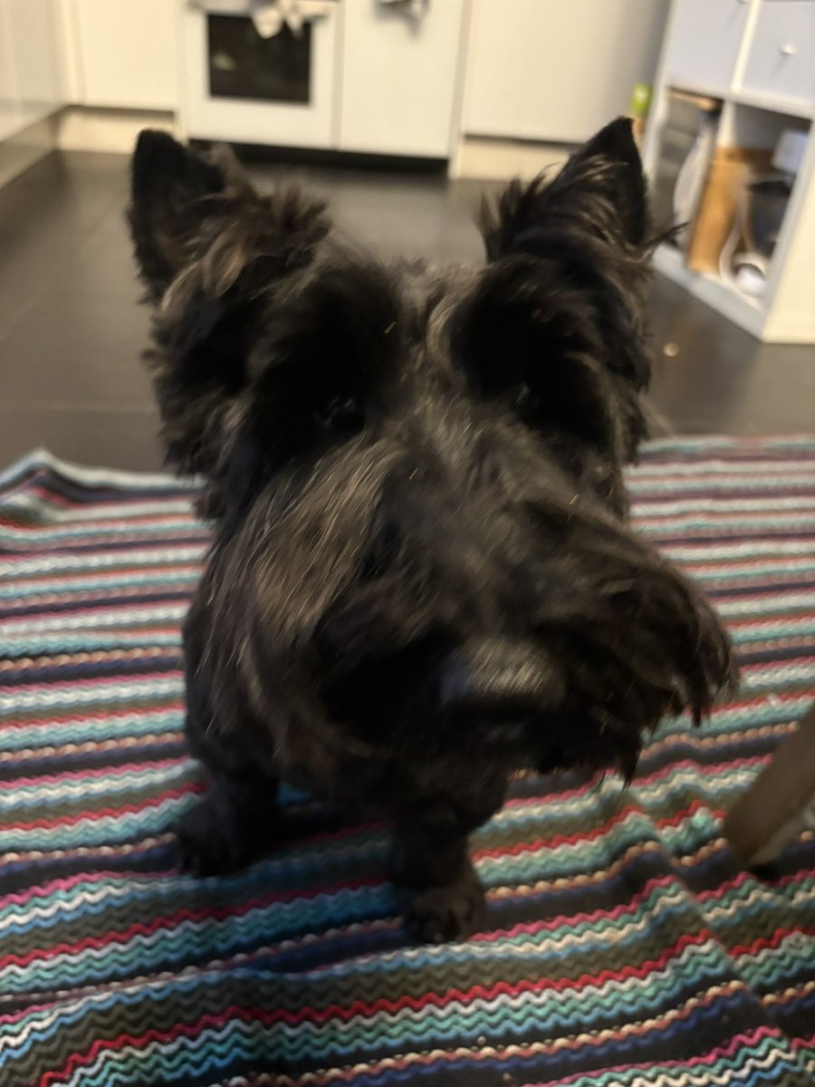 jae!!! ★ tweet media