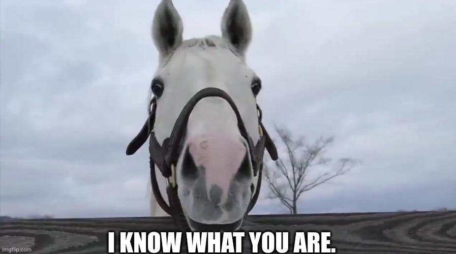 RapidRotation tweet media