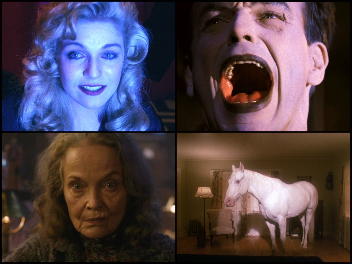 Dr. Hawk tweet media