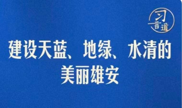 金饱饱🇨🇳(互fo💯回) tweet media