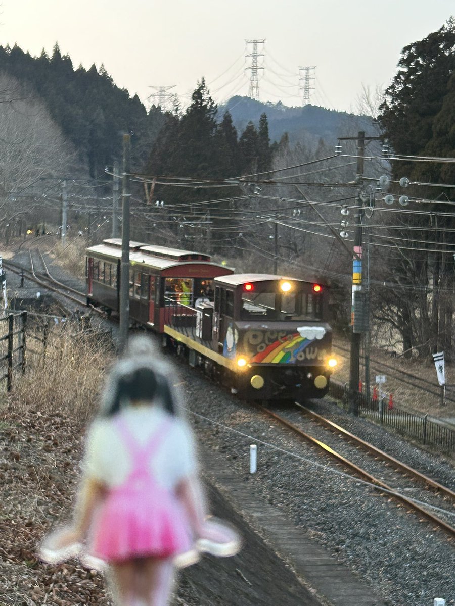 あき⭐️ tweet media