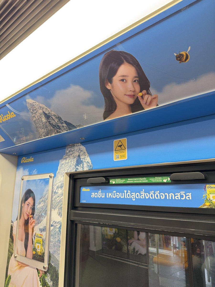 Paula 🐥💜 𝓟𝓮𝓻𝓯𝓮𝓬𝓽 𝓒𝓻𝓸𝔀𝓷 👑 tweet media