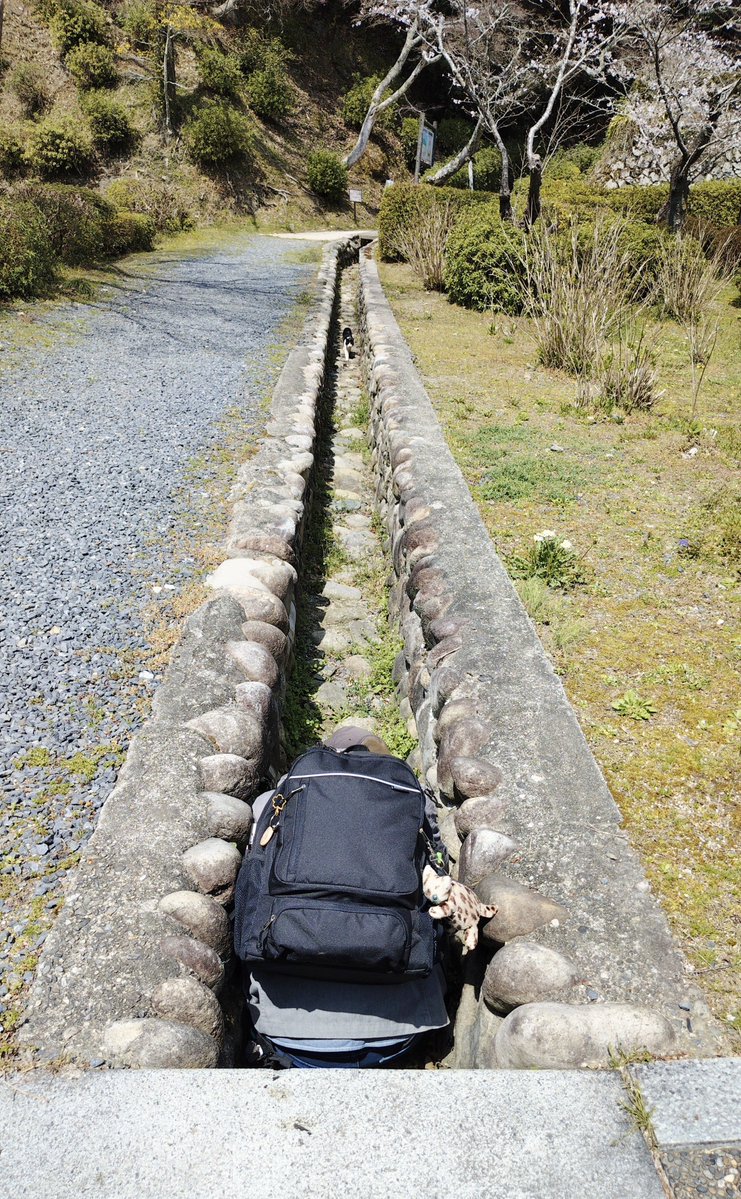 おくとーな tweet media