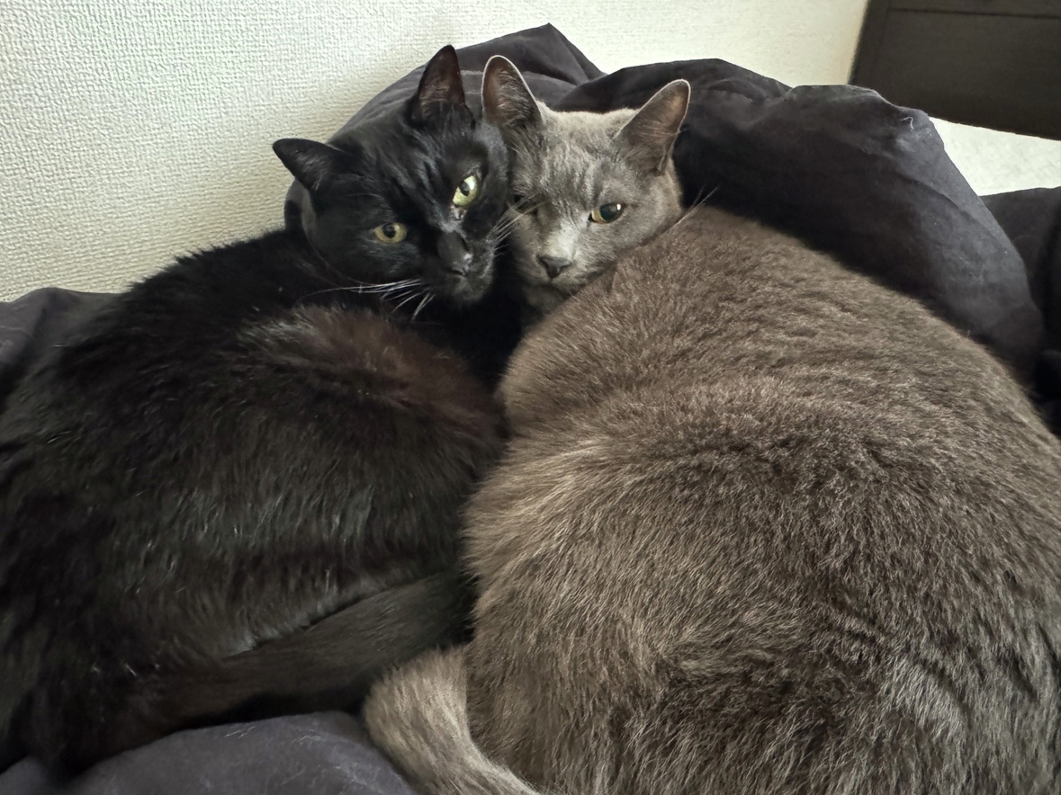 日動工業株式会社【公式】 tweet media