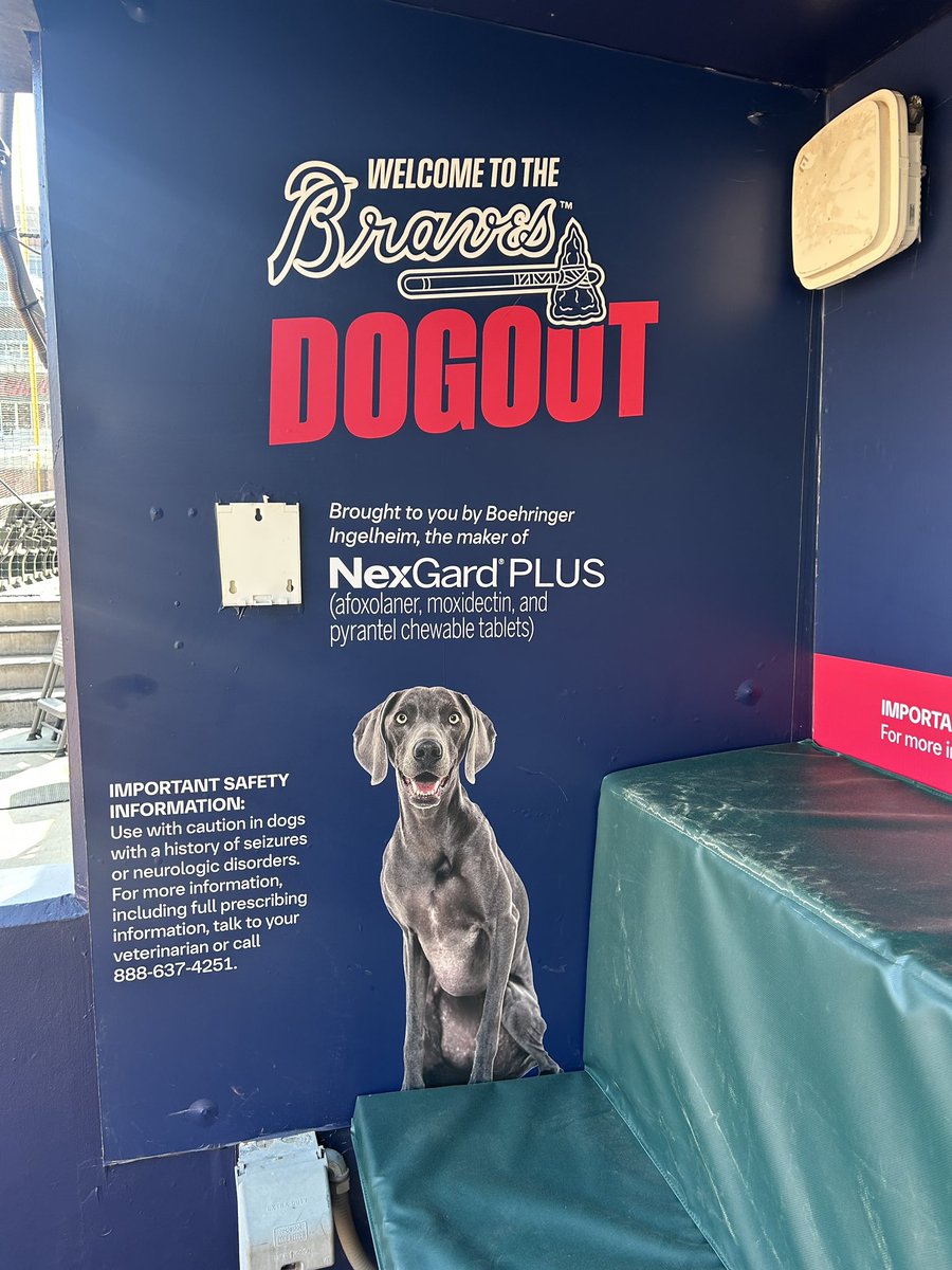 mpensin's tweet photo. @Braves @IngramRadio @wileyballard_ when is bring your dog to the park day? I don’t see one on the schedule. https://t.co/k962QR2Xxf