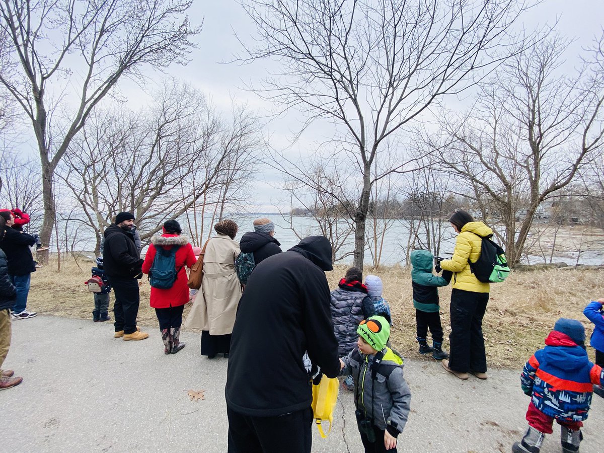 JrNaturalists's tweet photo. Our Mini Naturalists are incredible risk takers. Today, they used real binoculars to see ducks at Lake Ontario. We saw Long Tailed Duck, Mallards, Mute Swans, Bufflehead, Scaup, Canada Goose &amp; Mergansers. Bonus bird…newly migrated Tree Swallows. https://t.co/gCiat2nNe2