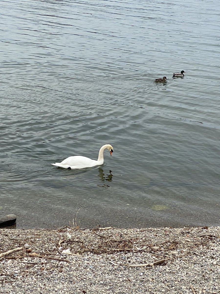 JrNaturalists's tweet photo. https://t.co/eRRbAeKMvq