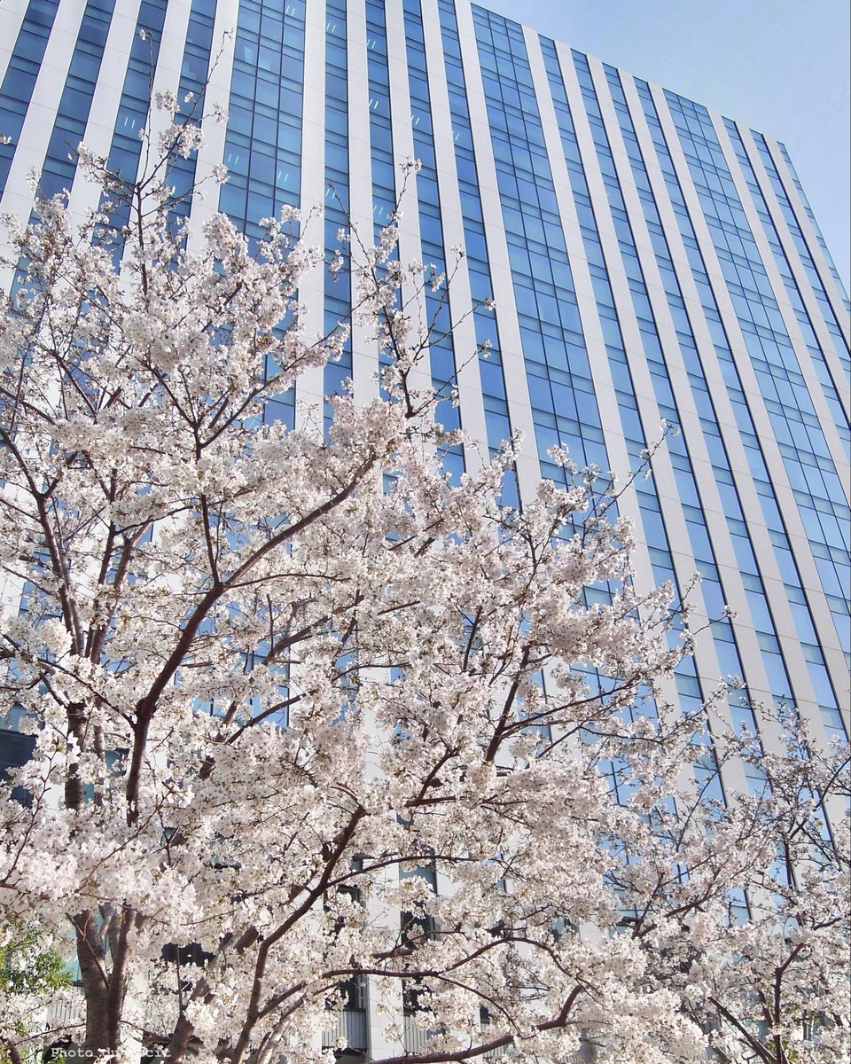 𝚛𝚎𝚌𝚒𝚝𓂃𓈒𓏸𓅪 tweet media