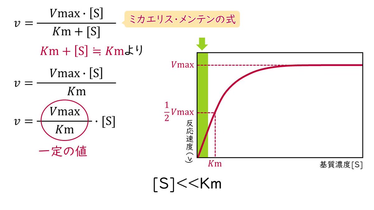 こまもん珈琲 tweet media