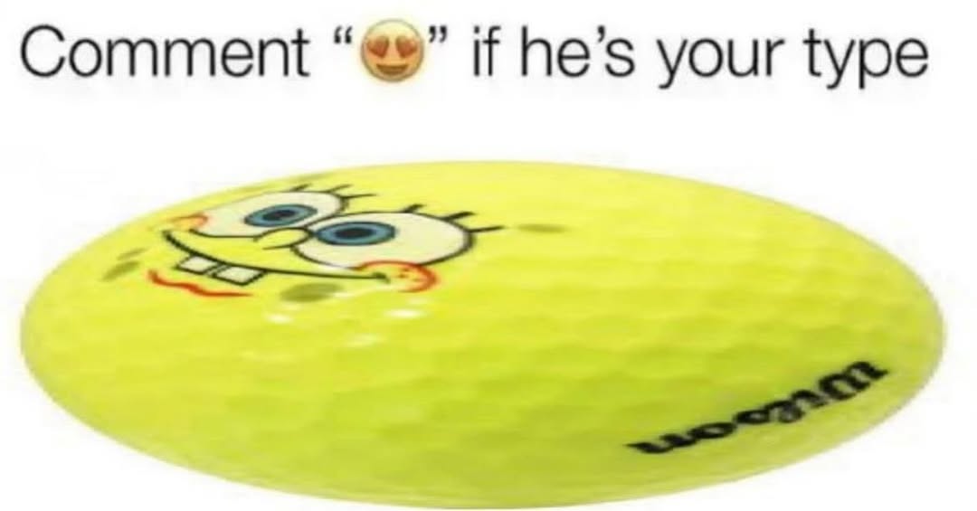 sponge.mp4 tweet media