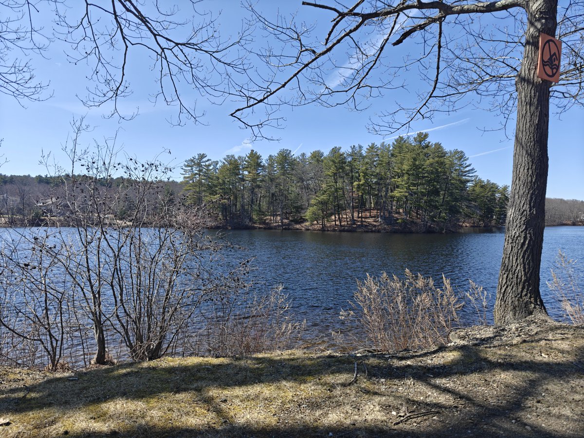 MSexton Photography tweet media