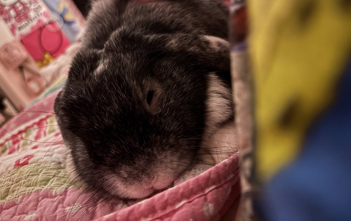 tiff 𝜗ৎ tweet media