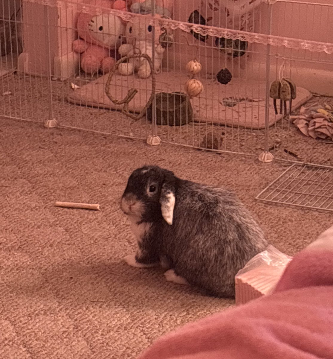 tiff 𝜗ৎ tweet media