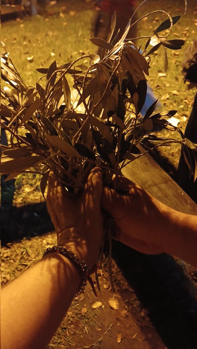 Sandra 🤍❤🤍 tweet media