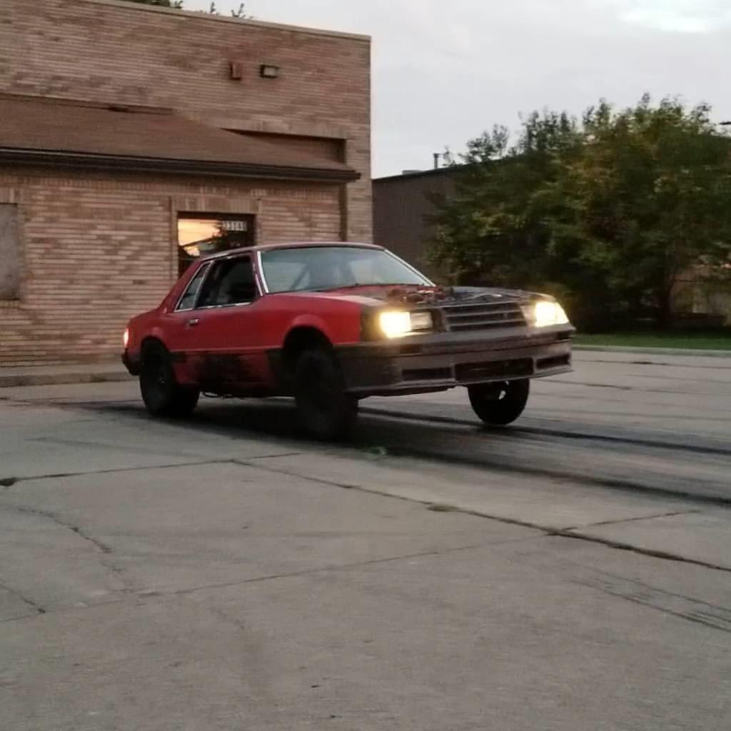 DerpShark tweet media