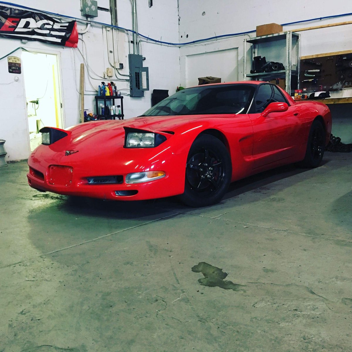 DerpShark tweet media