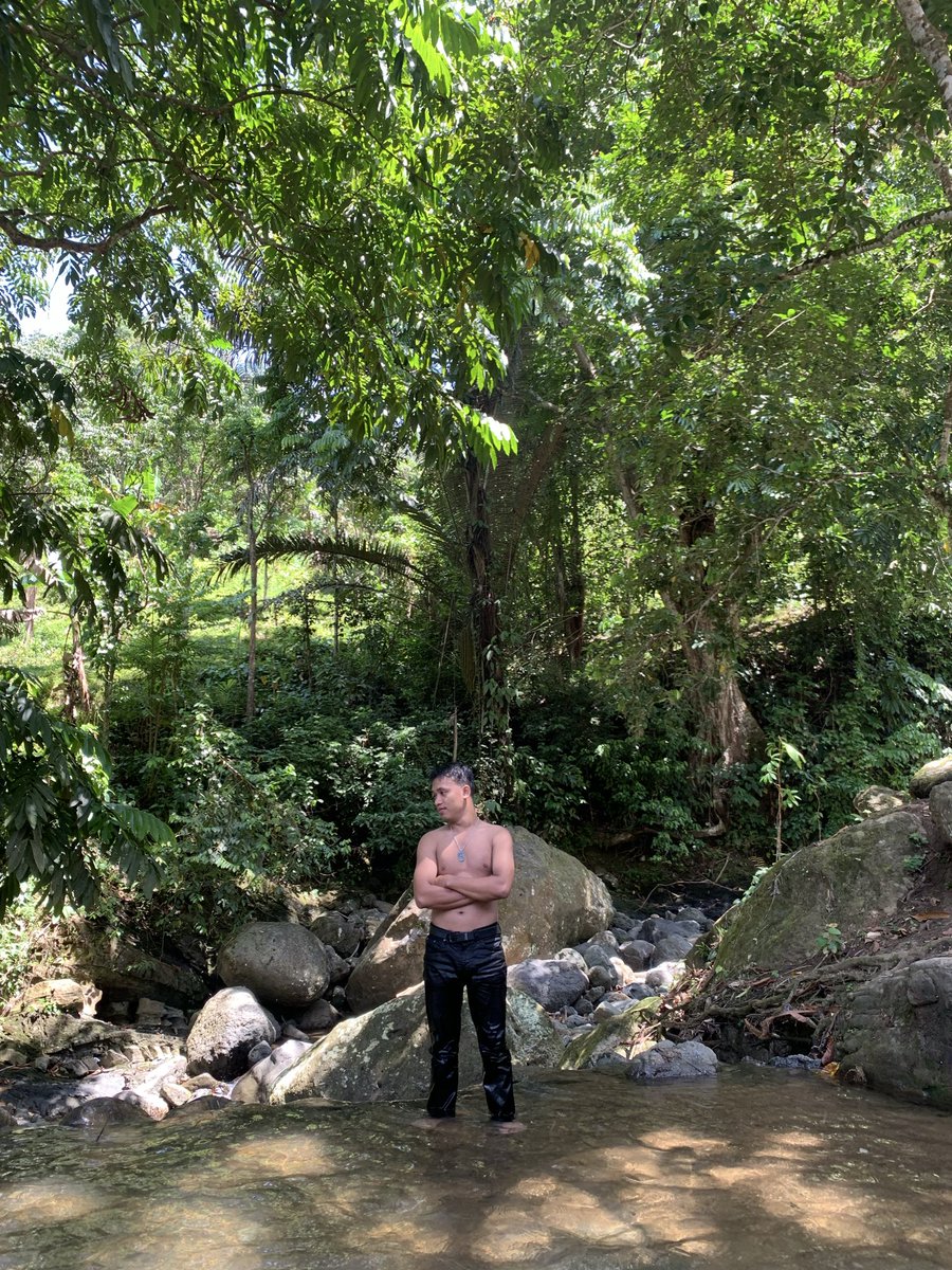 Official BS tweet media