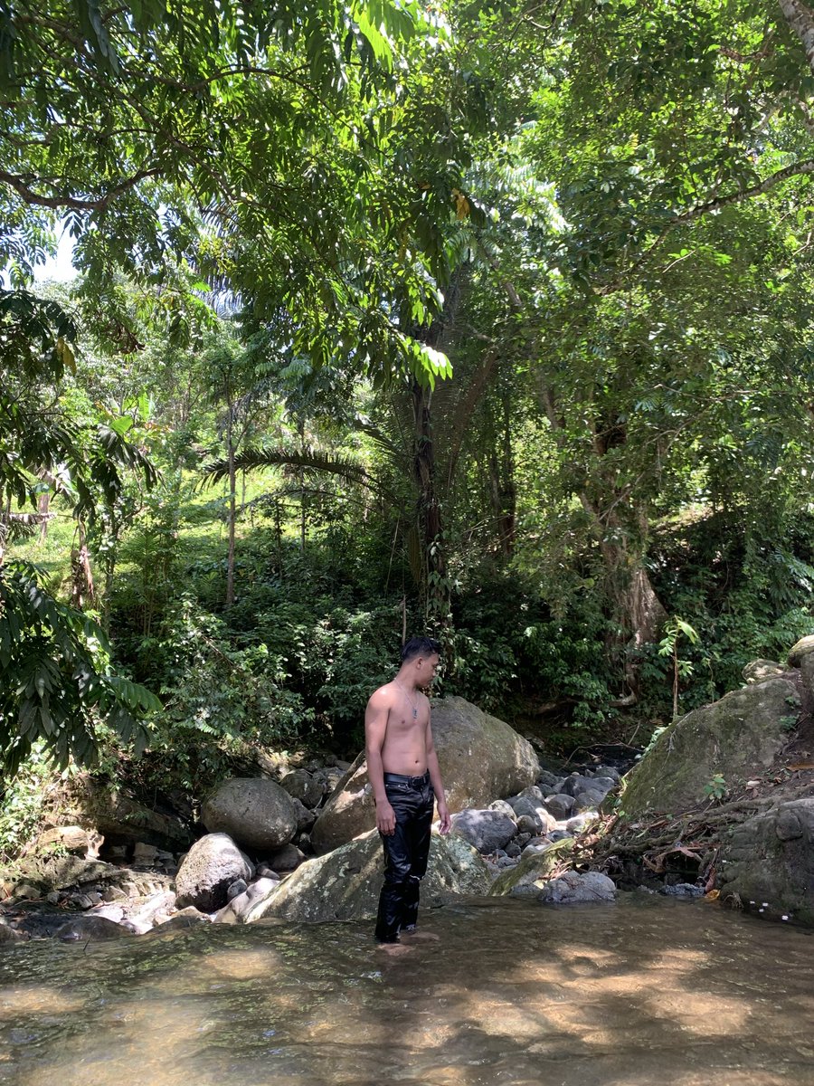 Official BS tweet media