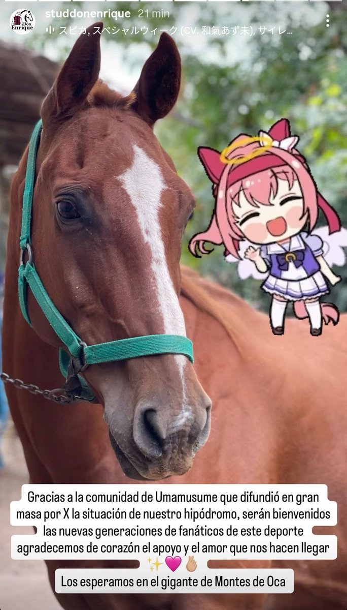 AnimeTrends tweet media