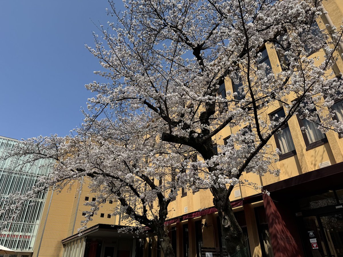 京都国際マンガミュージアム tweet media