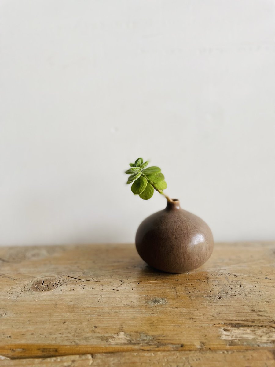 COFFEA EXLIBRIS kettle tweet media