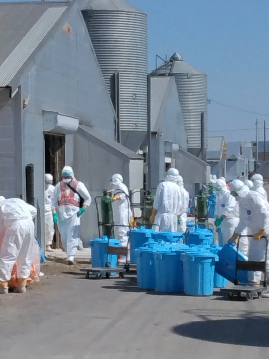 北海道【公式】 tweet media