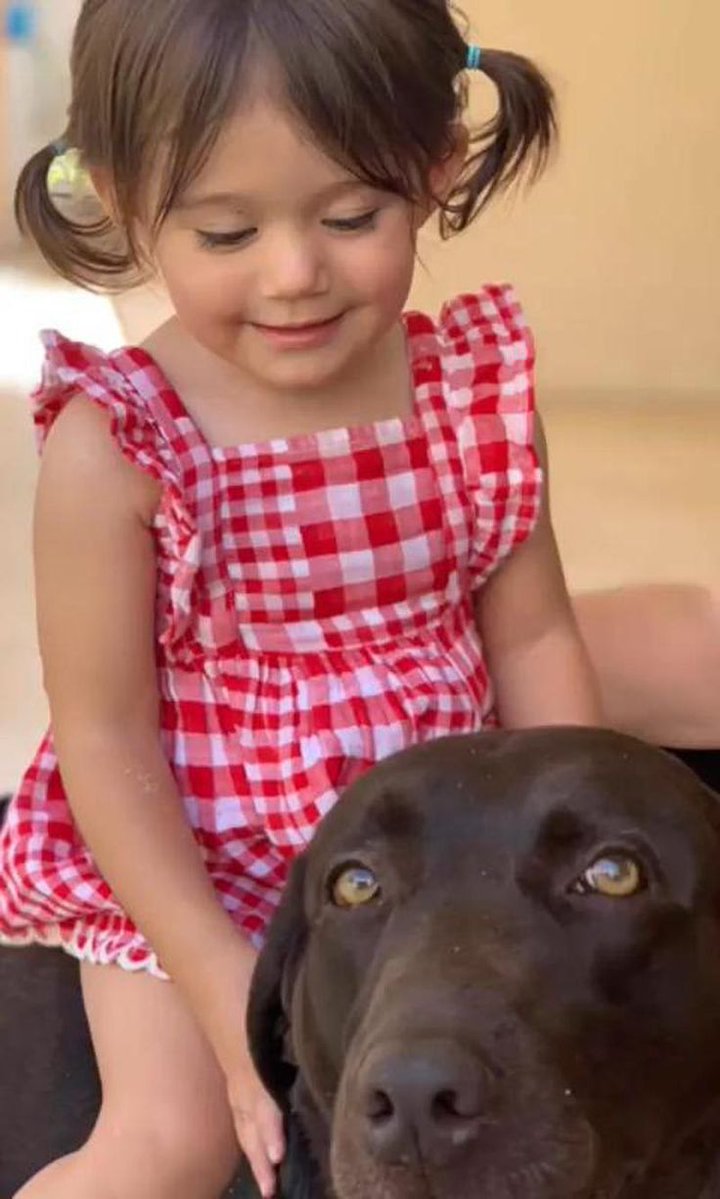 CONNECTIONDULCEMARIA tweet media