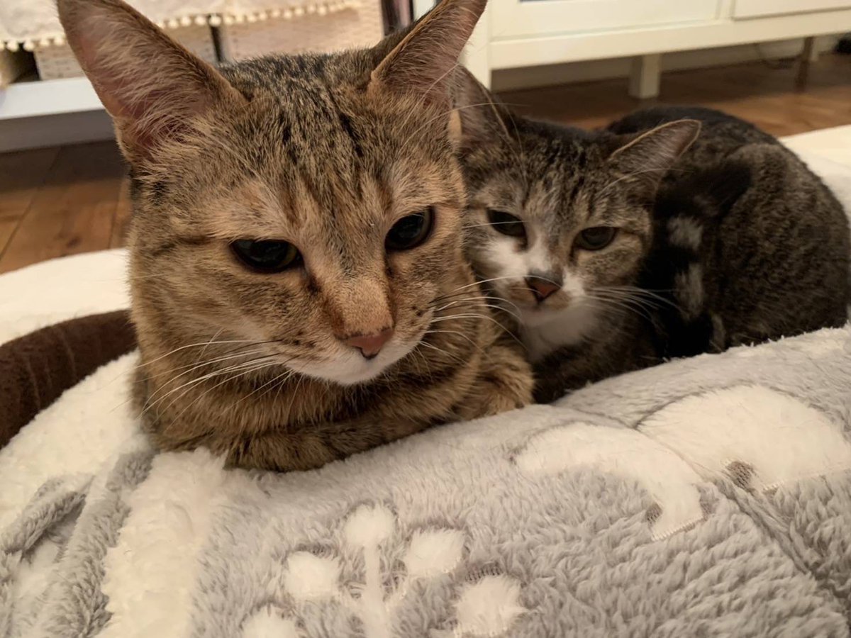 うるまん tweet media