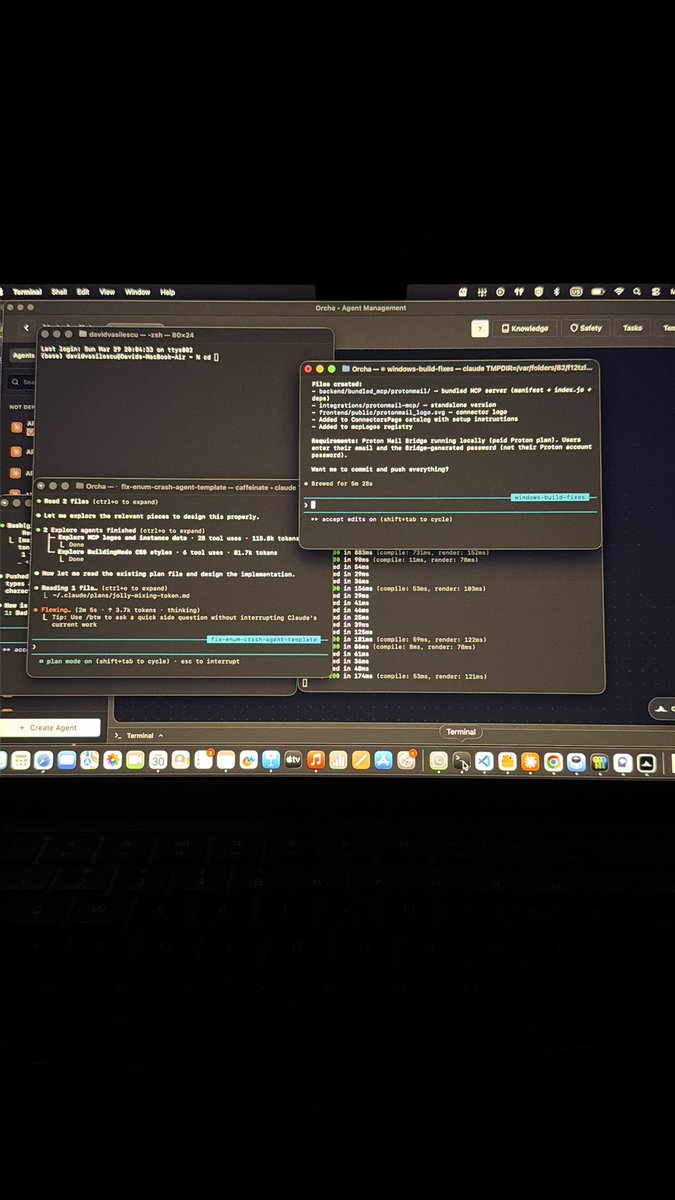 Vasilescu David tweet media