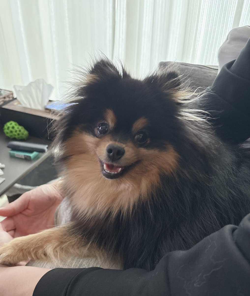 m❤︎🧸 tweet media