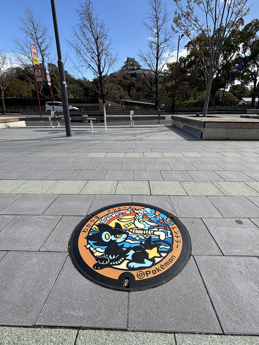 BoukouMAX's tweet photo. 入職前最後の旅行、車で静岡〜和歌山まで🚙道中マンホールも回収🕳️
マンホール目的で寄った刈谷のSAで「この中にお医者さんいませんか？」に遭遇👀医師免許とってまだ10日で経験0だけどどうしようと思いつつも、池袋のポケセン事件が頭をよぎり駆けつけました🏃‍♀️💨
幸い大事に至らなくてよかったです🙏 https://t.co/FvhPiLSW3J