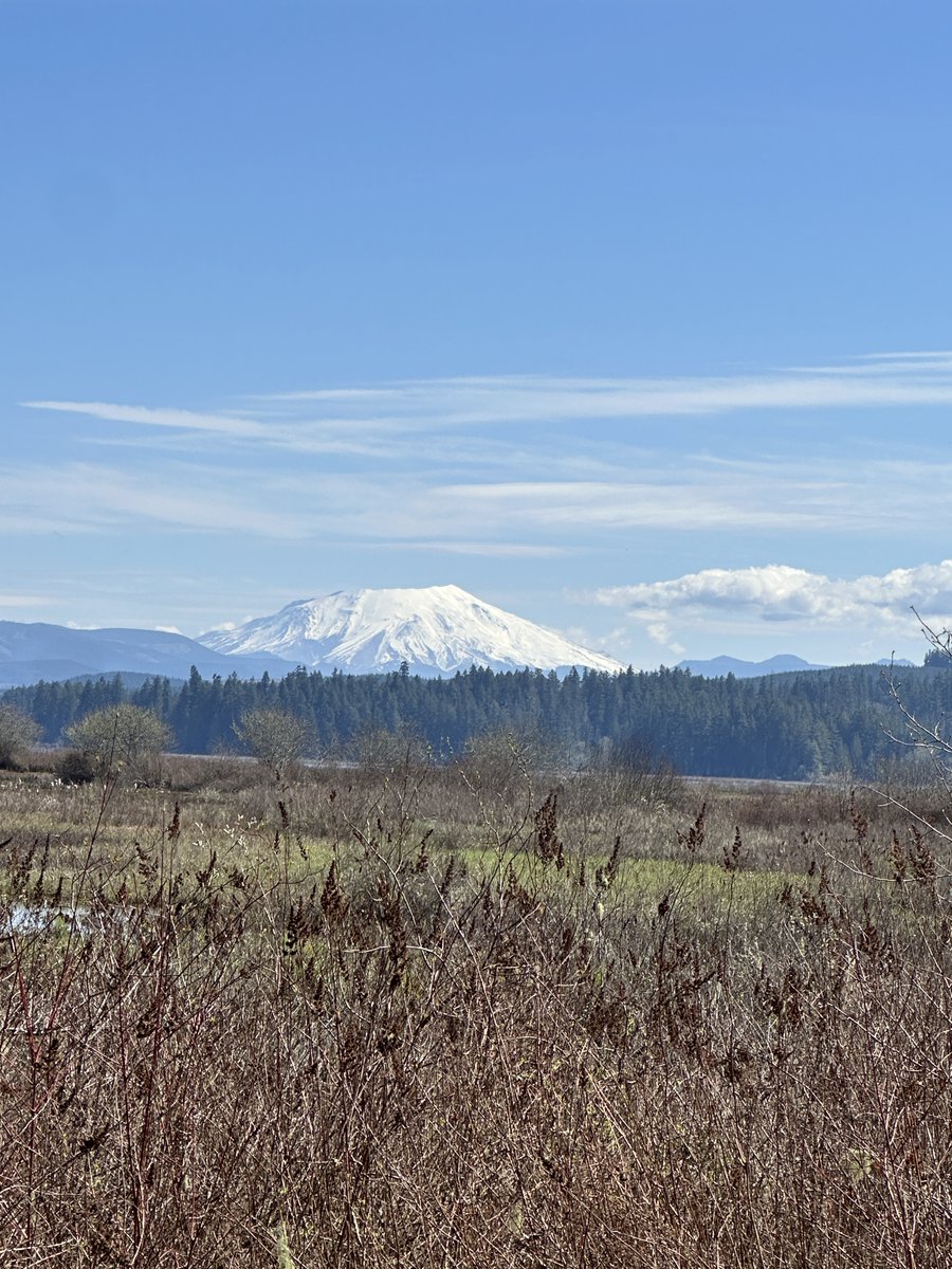 ruforucom's tweet photo. Путешествие к volcano Mount St  Helens 03/2026. https://t.co/GwaR2hRHAe через @YouTube https://t.co/Mz0J8VEmWS