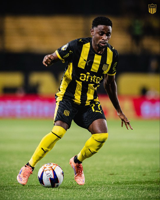 ELVIDALDELCAP tweet media