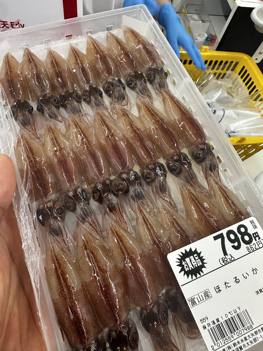 大髙尚人/Naoto Otaka tweet media