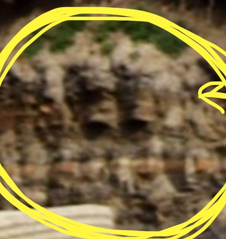 New Reformed Gnosticism tweet media