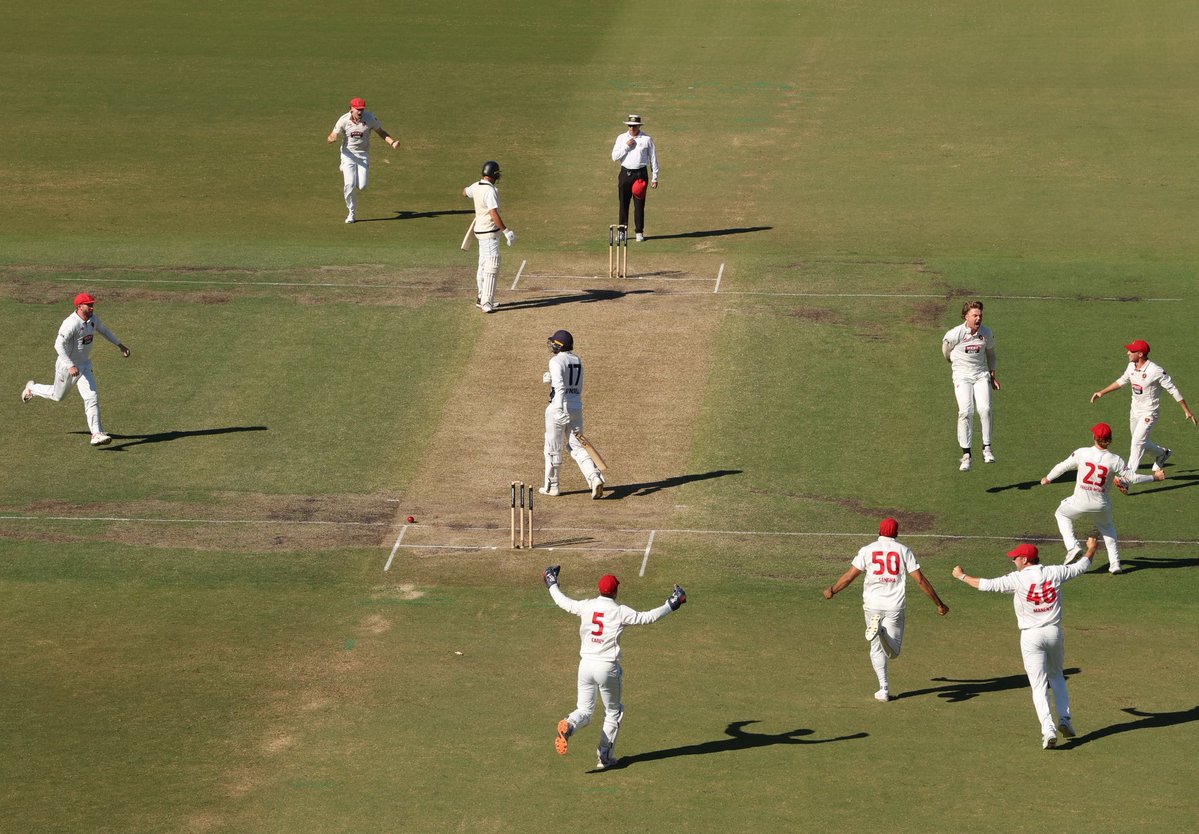 Robert Cianflone tweet media