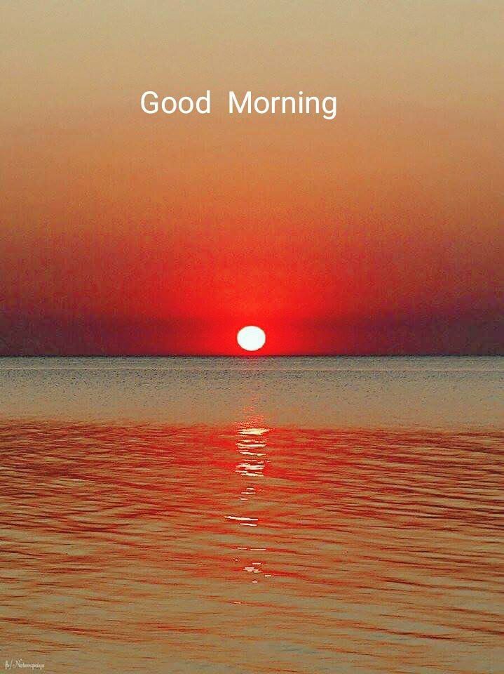 Garima Megh tweet media