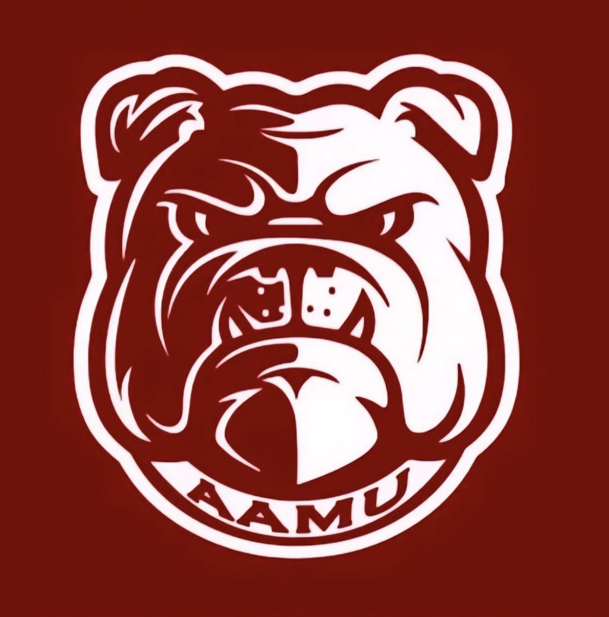 Peyton Parker tweet media