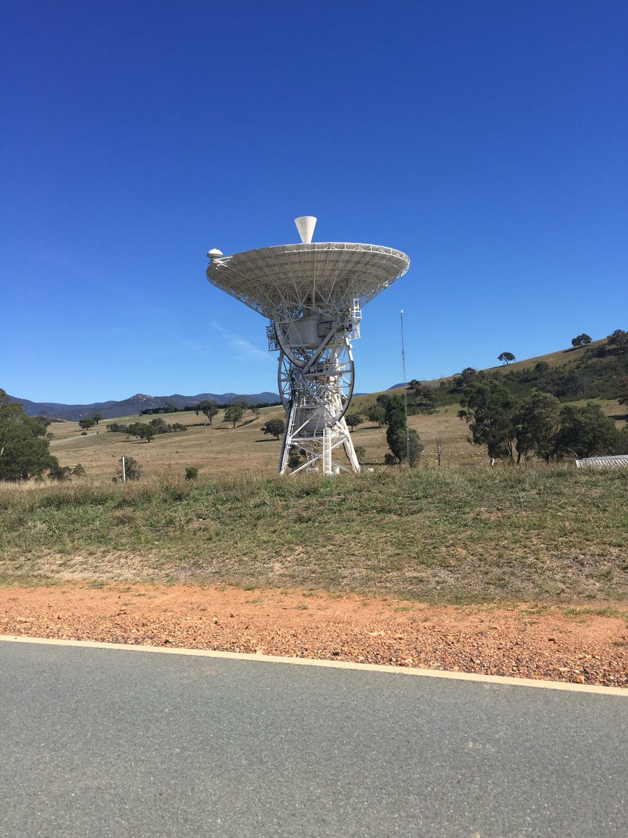 Taraustralis tweet media