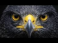 Anas Alhajji tweet media