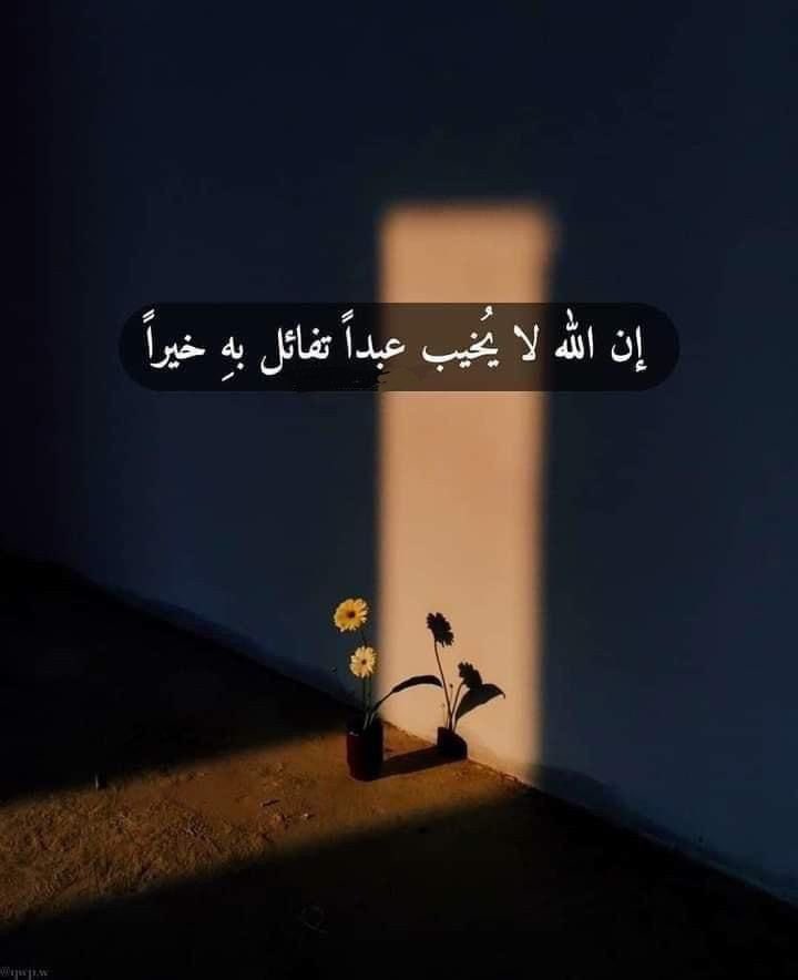 AdelAliBinAli's tweet photo. فاطمئِن🤎.. https://t.co/L7tUJPfq7p