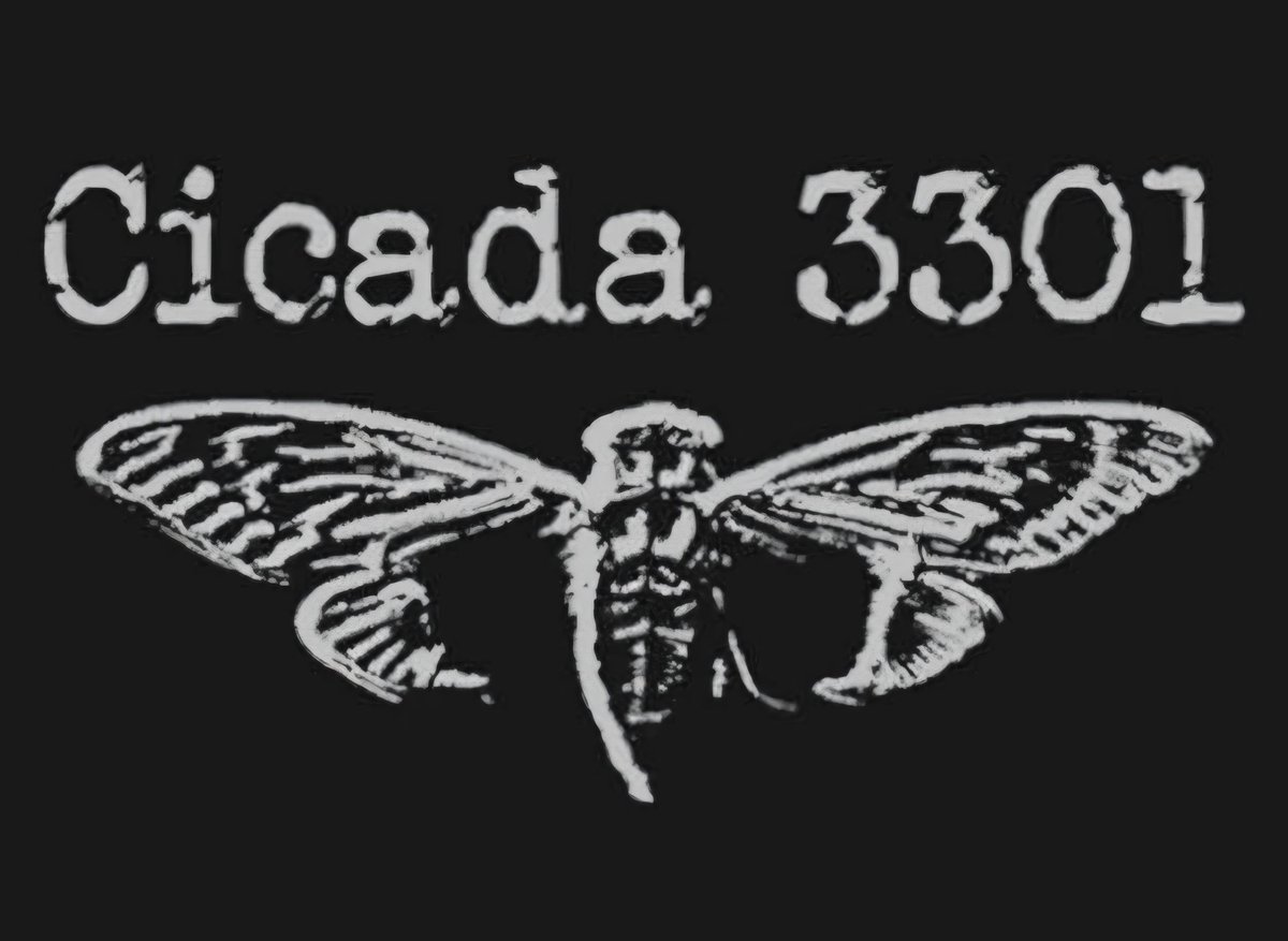 𝙍𝙞𝙥 𝘾𝙤𝙧𝙙 🇺🇲 tweet media