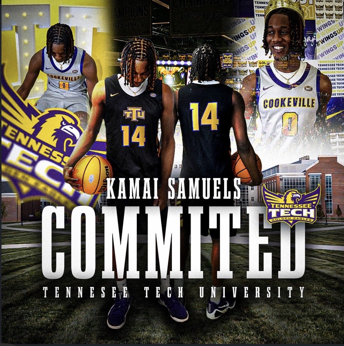 Dylan Thayer tweet media