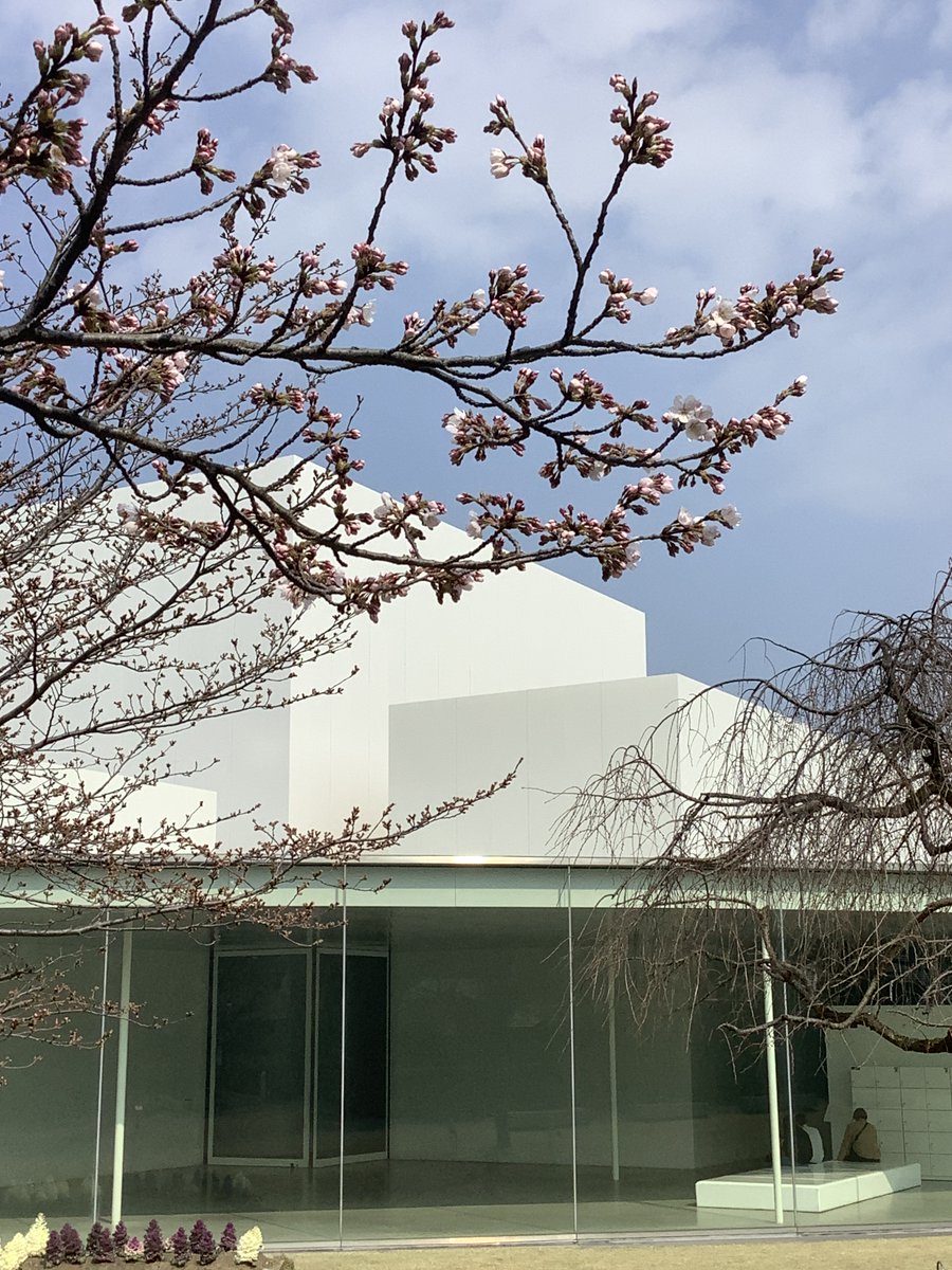 金沢21世紀美術館 tweet media