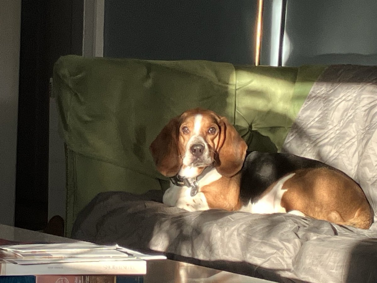 Four Minor tweet media